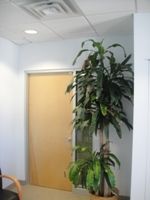 55 Fifth Avenue Office Space - Entrance