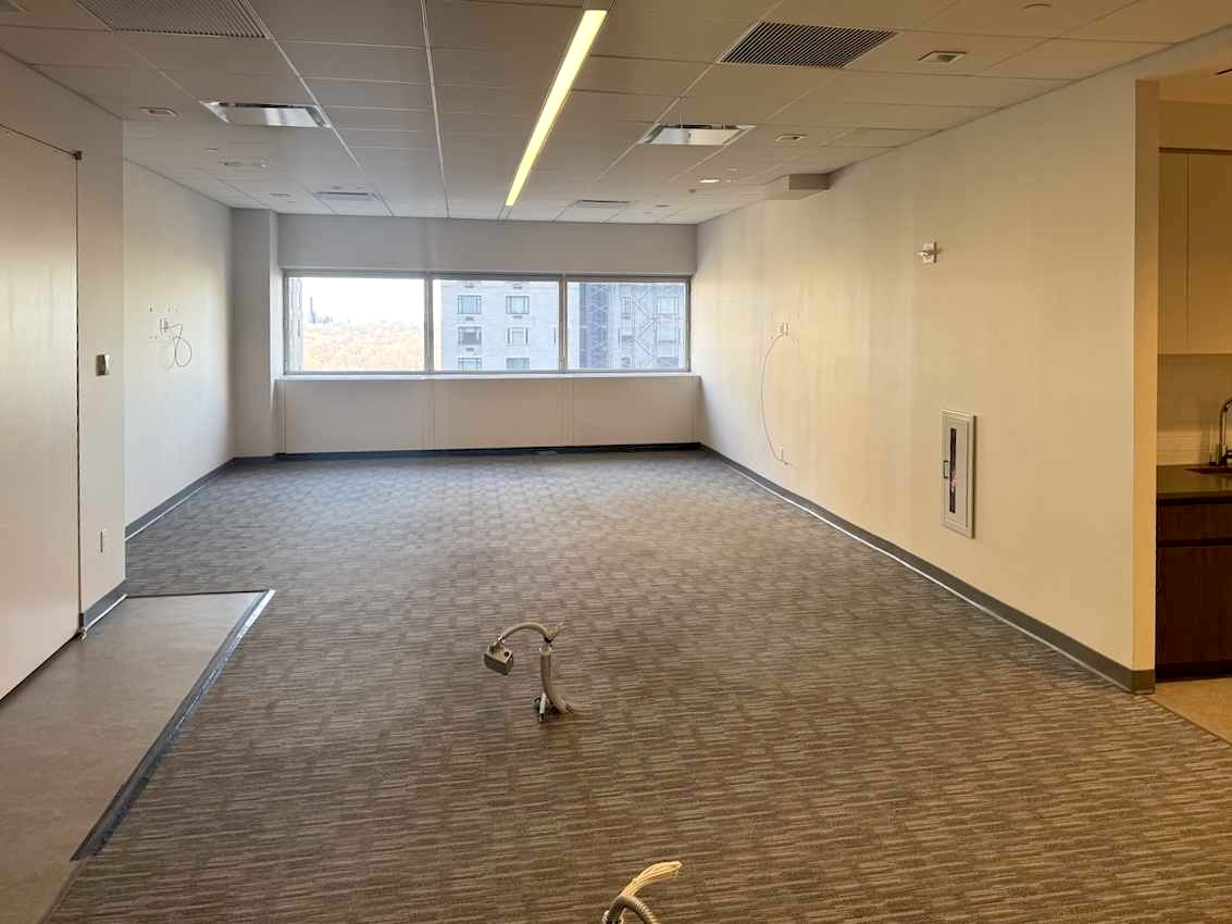 Empty office space with beige carpet, white walls, large windows.